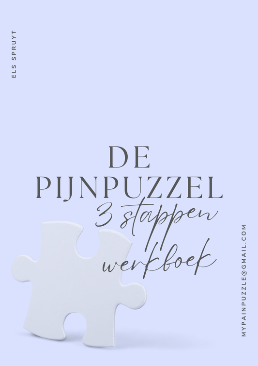 Het Pijnpuzzel Werkboek – In 3 stappen van spanning naar rust